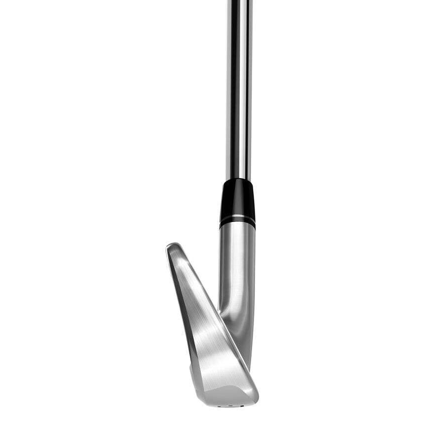 TaylorMade Golf - Irons - P750 TOUR PROTO IRONS 【カスタム限定】