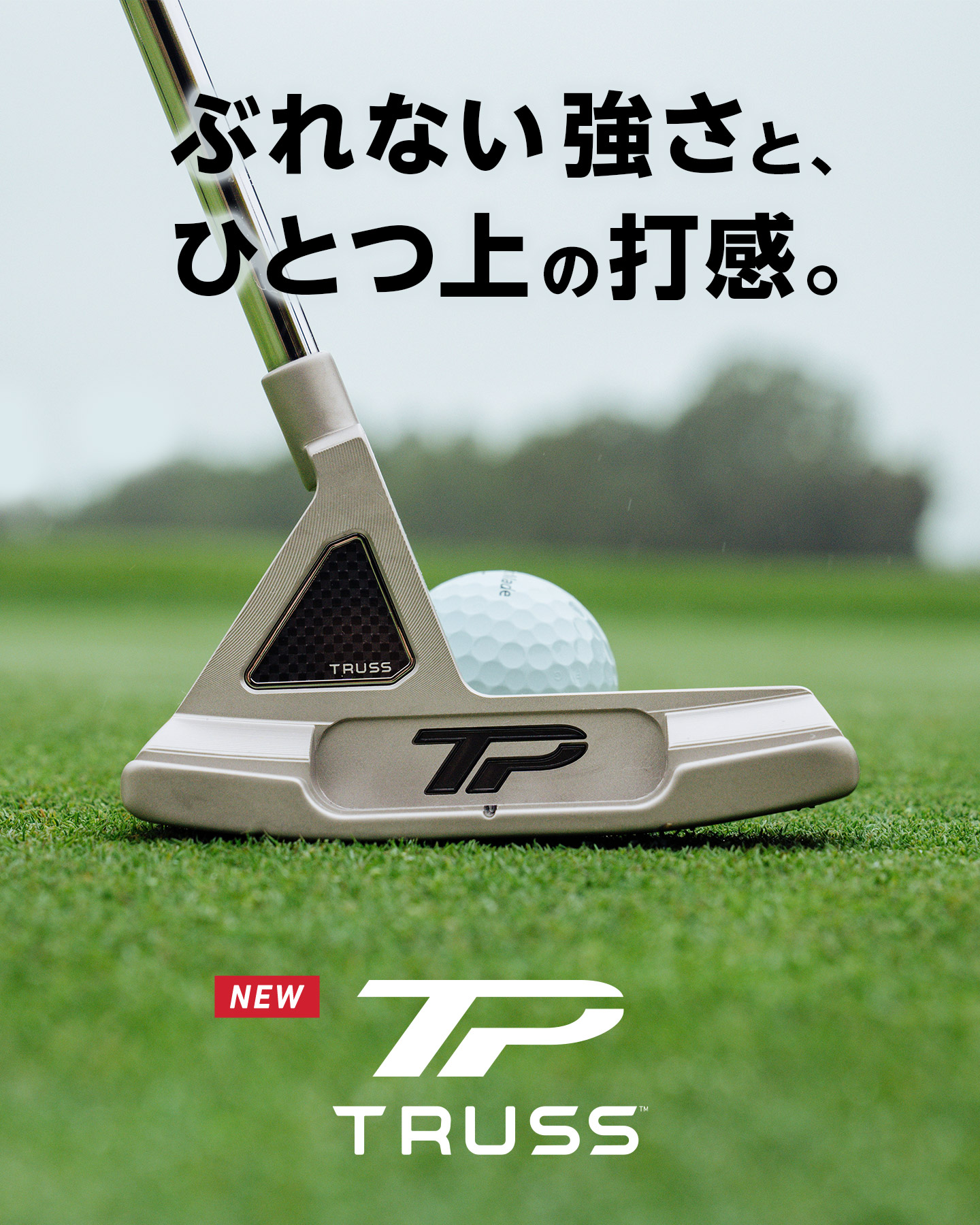パター特設サイト | TaylorMade Golf | テーラーメイド ゴルフ公式サイト